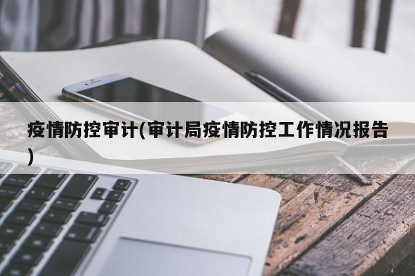 疫情防控审计(审计局疫情防控工作情况报告)
