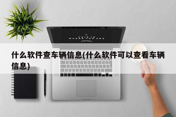 什么软件查车辆信息(什么软件可以查看车辆信息)